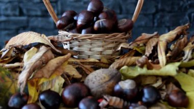 hasır sepet kuru yaprakları tarafından çevrili kestane tam