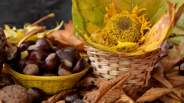 Wicker baskets full of chestnuts and sunflower surrounded by dry leaves — Stock Video