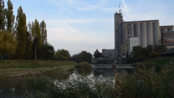 Regarder à travers les roseaux sur un bâtiment industriel — Video