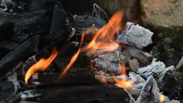 Виготовлення вогню для смаження гриля — стокове відео