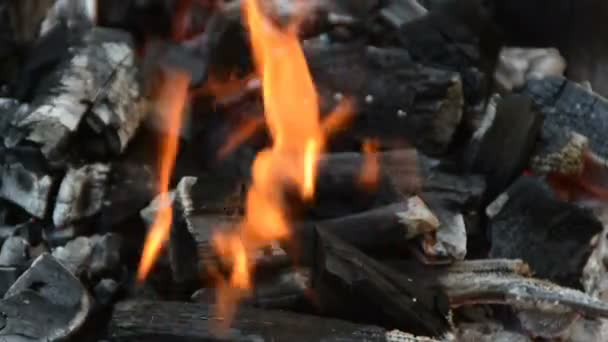 Stirring up the fire — Stock Video