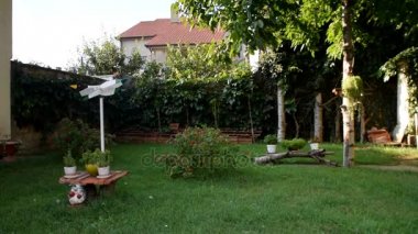 bahçede köpek için topu atma