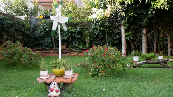 Hermoso jardín lleno de flores y decoración — Vídeos de Stock