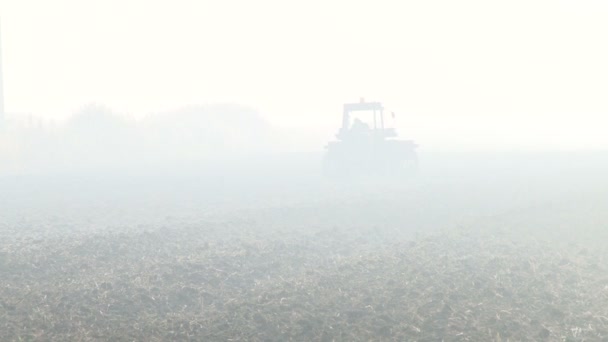 Tractor en el campo de niebla — Vídeos de Stock