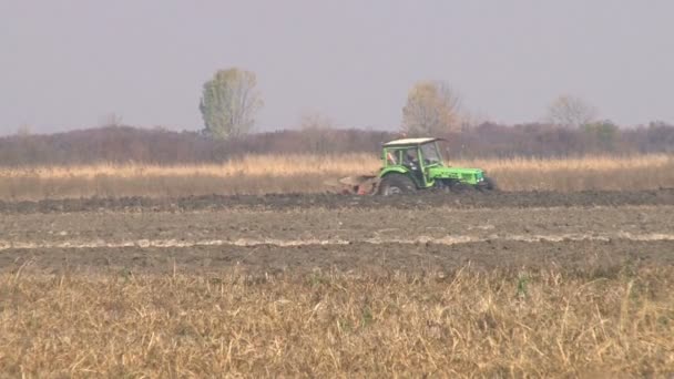Зеленый трактор обрабатывает землю — стоковое видео