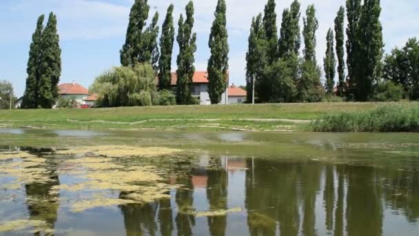 Fietsen door het water — Stockvideo