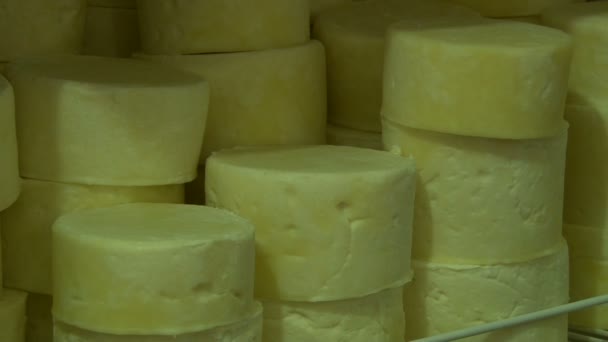 Домашний козий сыр — стоковое видео