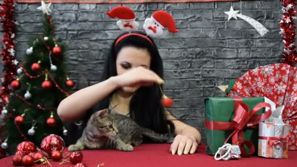 Сочетание четырех сцен, красивые девушки с кошками в праздничном духе в окружении новогоднего украшения — стоковое видео