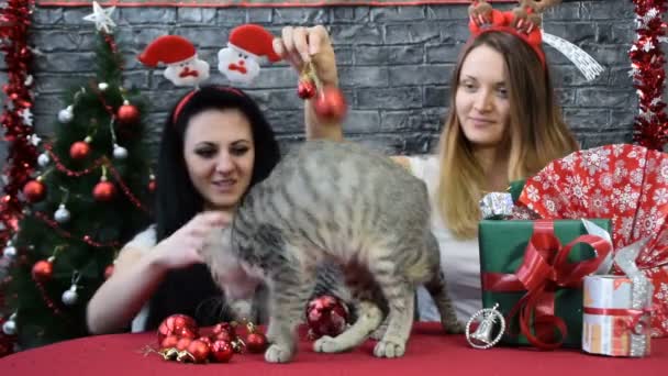 Mistura de duas cenas, meninas bonitas com um gato em espírito de férias cercado pela decoração de Ano Novo — Vídeo de Stock