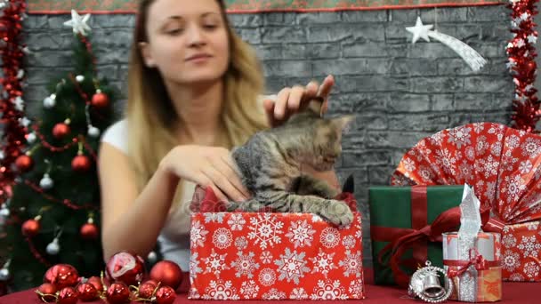 Smíchejte tři scény, krásná dívka s kočkou v duchu dovolené obklopený novoroční dekorace — Stock video