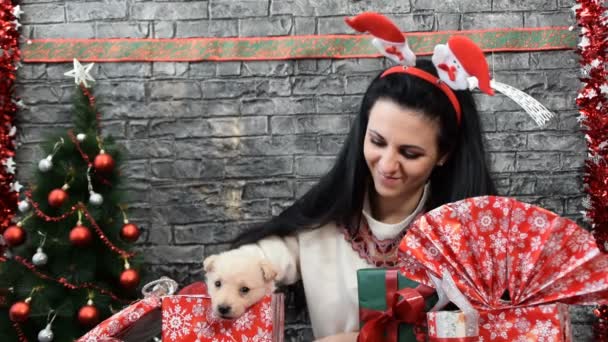 Krásná dívka s bílé štěně v duchu dovolené obklopený novoroční dekorace — Stock video