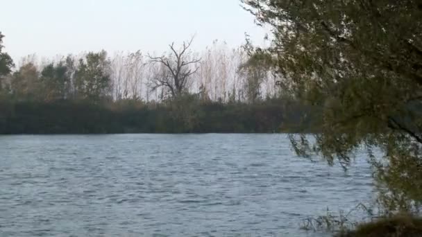 Vier Aufnahmen des Flusses, der fließt — Stockvideo