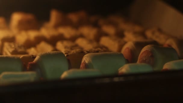 Delicious dough baking in the oven — Stock Video