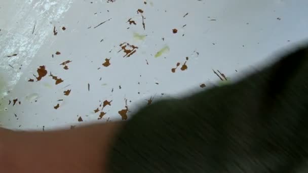 Смесь из 3 выстрелов готовит капусту — стоковое видео