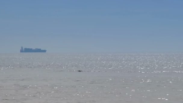 Teil 2, das Schiff segelt auf dem Meer — Stockvideo