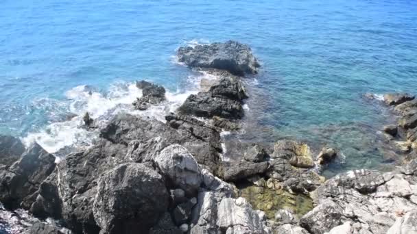 Piękny widok na brzeg morza — Wideo stockowe