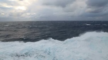 seastorm sonra 2 çekim karışımı