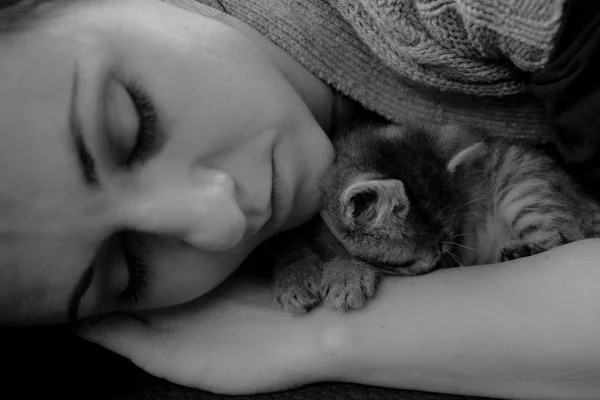 Μικρό γατάκι που κοιμάται ειρηνικά με το φίλο της — Φωτογραφία Αρχείου