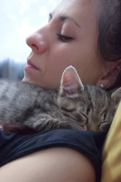 Kitty sleeping peacefully on her owner — Stock Photo, Image