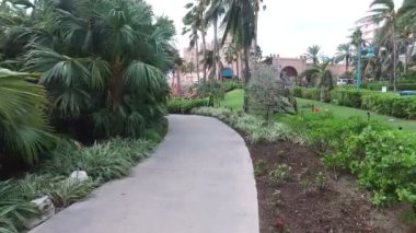 patika üzerinden bir tropik cennet