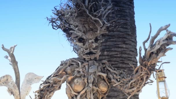 Mélange de 3 photos de monument en bois pour les femmes — Video