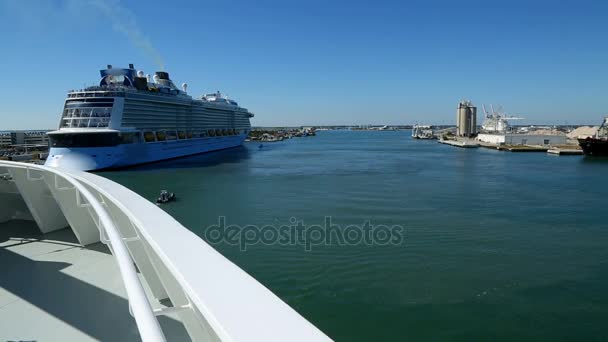 Cruiseschepen die in de haven — Stockvideo