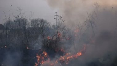 bir alandaki kontrolsüz ateş