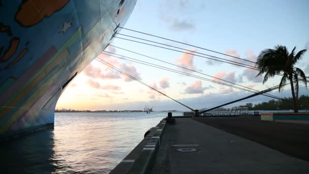 Cruiseschip afgemeerd in de haven — Stockvideo