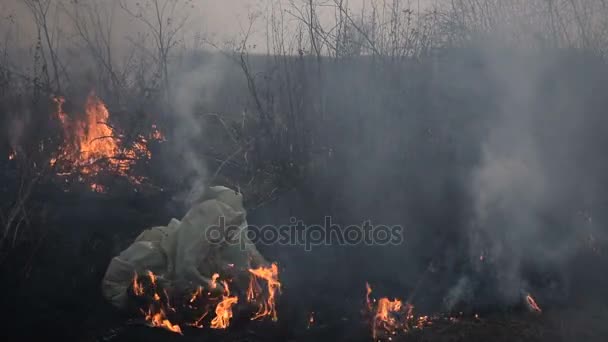 Ellenőrizetlen tűz egy mezőben — Stock videók