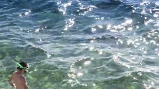 Homem com máscara de mergulho na cabeça está à procura de conchas — Vídeo de Stock