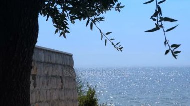 duvar ve ağaç, denizin içinde belgili tanımlık geçmiş parlak yüzey