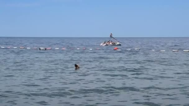 Vrienden paardrijden waterfiets en zwemmers in de zee — Stockvideo