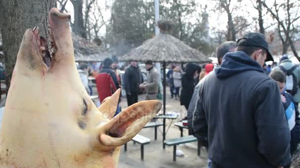 Mezcla de 2 disparos, cabeza de cerdo sacrificado colgando, personas hablando en el fondo, Belo Blato, Vojvodina, Serbia, 12 de marzo de 2017 . — Vídeo de stock