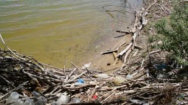 nehir kıyıda yıkanmış çöp
