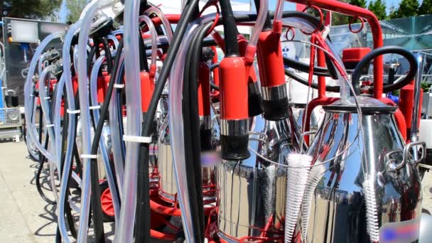 le dernier équipement de traite pour les vaches, cinq coups de feu 