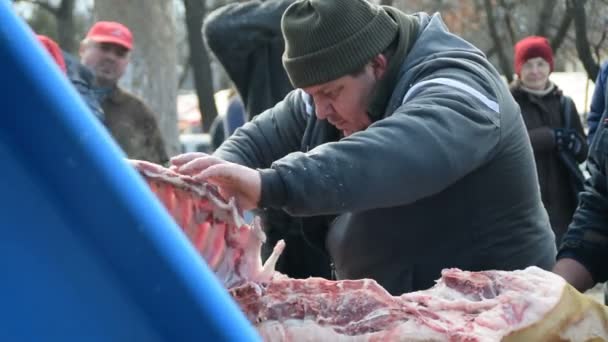 Handgeschnittenes Schweinefleisch, frisch geschlachtetes Schwein, Schweineschlachtfest, belo blato, vojovina, Serbien, 12. März 2017. — Stockvideo