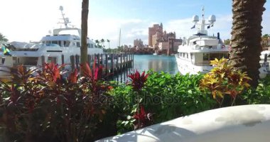 Tropik bitki örtüsü, bağlantı noktası ve yerleşik gemi balkondan, güzel görünüm