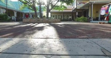 Ağaç seviyesinde, atışa kaldırımda arasında güneş parlıyor