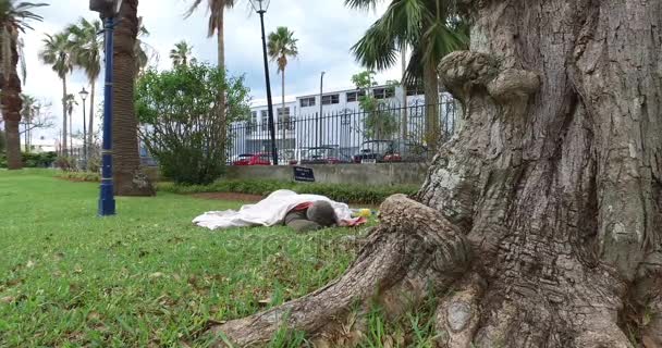 Omfattas hemlös man sover i parken — Stockvideo