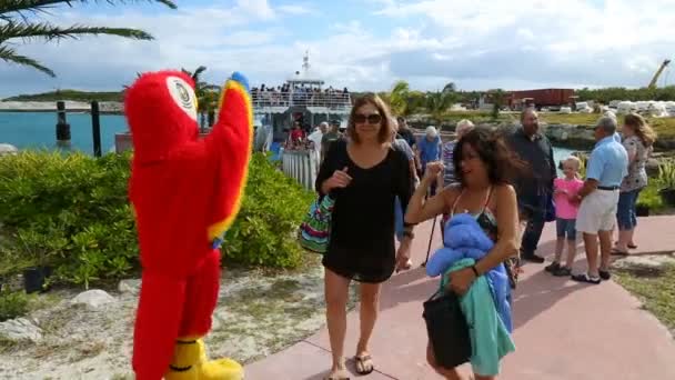 Grappige mascotte papegaai, groet met gasten — Stockvideo