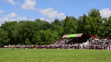 Bir fuarda büyük boğa ve ihale Sergi