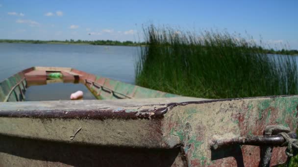 De boot door het water in natuurgebied — Stockvideo