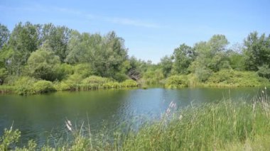 Doğa rezerv saf Gölü ile