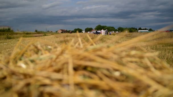 Mensen klaar voor de ceremonie van de handmatige oogst, veld en droog stro — Stockvideo