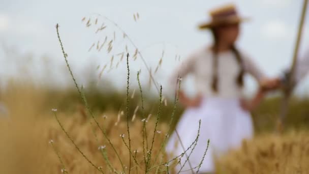 Menina de pé no campo de grãos, com foice na mão — Vídeo de Stock