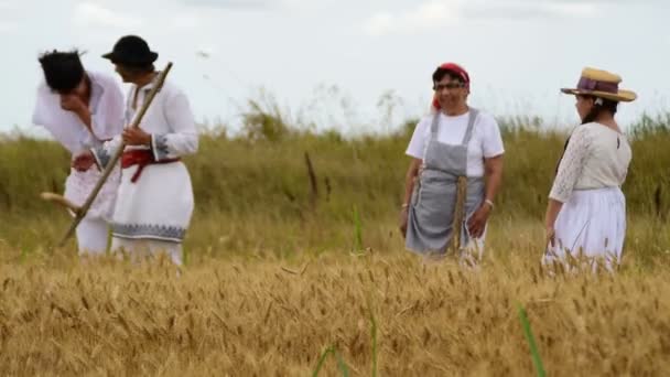 Pokolenia samic rozmowy na polu przed zbiorami — Wideo stockowe