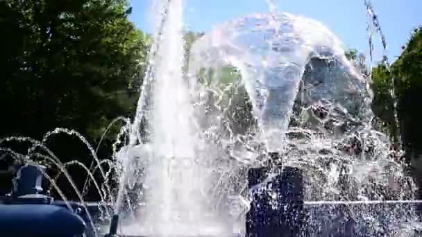 2 i 1, friskhet nära fontänen — Stockvideo