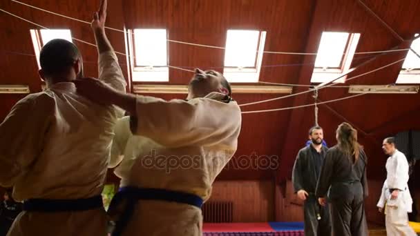 Close-up van demonstratie over martial arts seminar, stad van Zrenjanin, Servië, 11 maart 2017. — Stockvideo