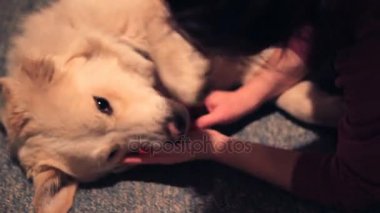 köpek ve onun sahibi yere sarılma
