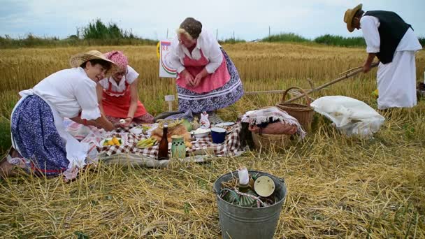 Groep mensen zijn de voorbereiding van een ontbijt op het veld voordat de oogst, 1-st Jully 2017, Zrenjanin, Servië. — Stockvideo